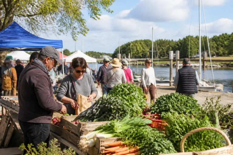 Saint-Vivien-de-Médoc dynamise son Petit Port avec un marché de producteurs