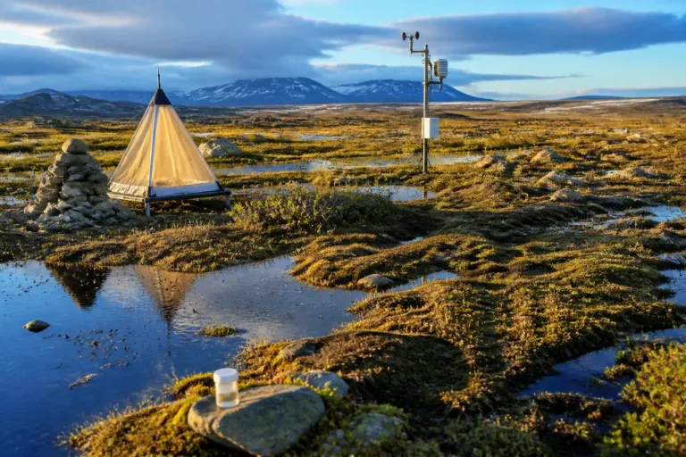 Le moustique gagne l’Arctique : nouveaux risques sanitaires et manque de surveillance