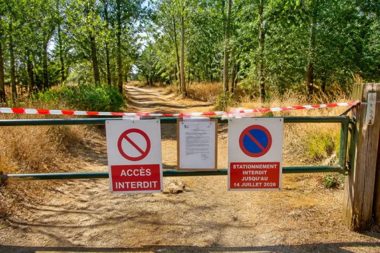 Sécheresse: Appoigny ferme ses forêts au public jusqu’au 14 juillet
