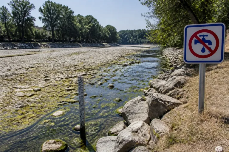 Sécheresse dans l’Ain : alerte sur les rivières du Bugey et du Haut Rhône