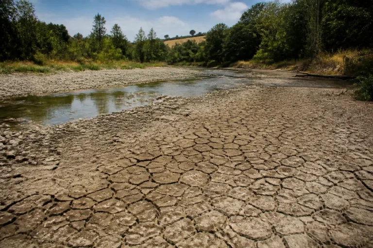Sécheresse dans l’Yonne : rivières sous tension, la vallée du Cousin en crise