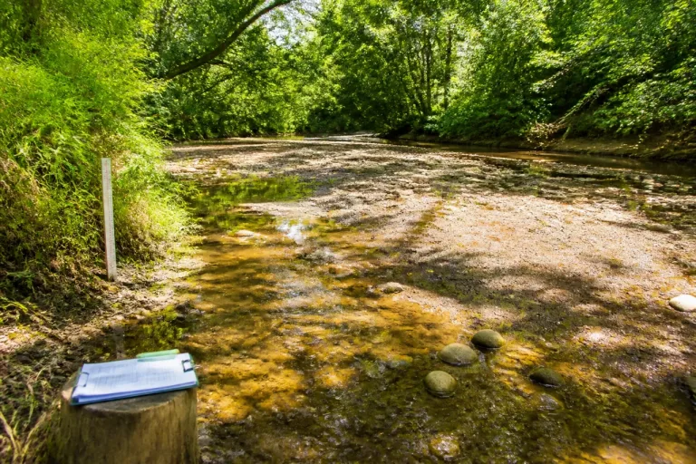 Sécheresse en Creuse : les rivières s’affaiblissent, la pêche et l’écosystème en alerte