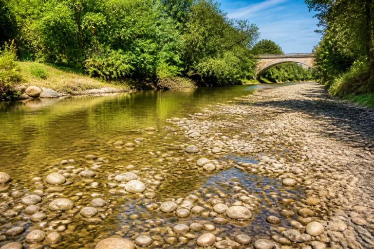Sécheresse en Meurthe-et-Moselle : la Vezouze déjà en étiage, alerte des pêcheurs