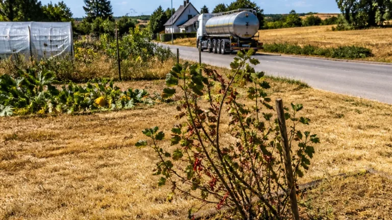 Sécheresse : le sud des Côtes-d'Armor reste en alerte renforcée, les restrictions persistent