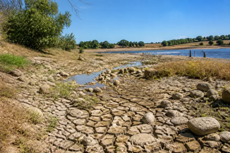 Sécheresse précoce dans l’Indre : les cours d’eau du sud du département en alerte