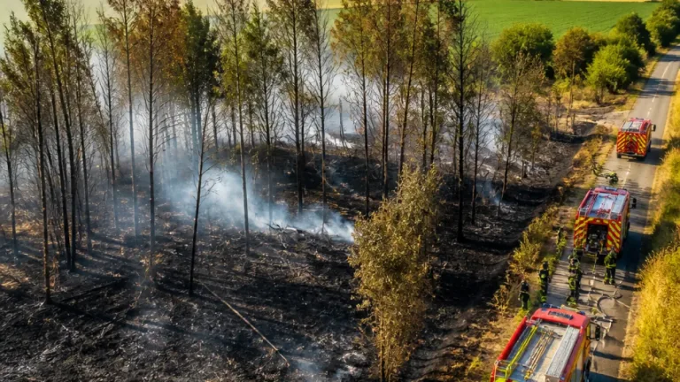 Sept hectares partis en fumée à Bellengreville : la piste de l’enquête ouverte