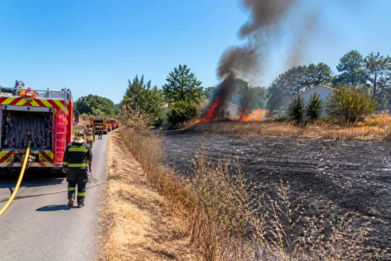 Série d'incendies en Tarn-et-Garonne : deux maisons menacées à Campsas sous 38 °C