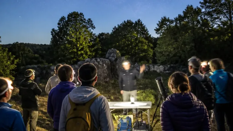 Soirée nature et ciel étoilé : une randonnée guidée au cœur du Morvan