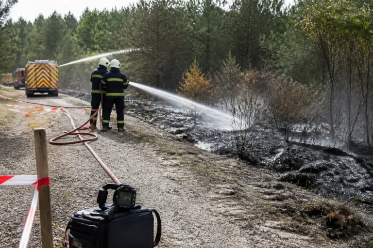 Sous-bois en feu à Saint-Just-Malmont : intervention rapide, 2 000 m² touchés