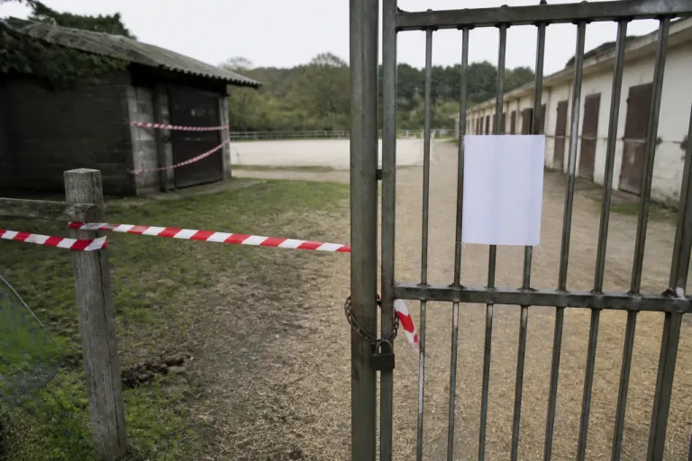 Trélissac : la préfecture ordonne la fermeture d’urgence du centre équestre La Cravache