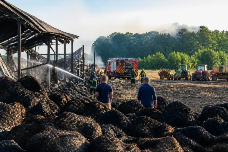 Un bâtiment agricole détruit par un incendie à Château‑la‑Vallière, la forêt évitée de peu