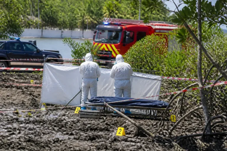 Un corps découvert en mangrove à Passamainty, une enquête confiée aux forces de l’ordre