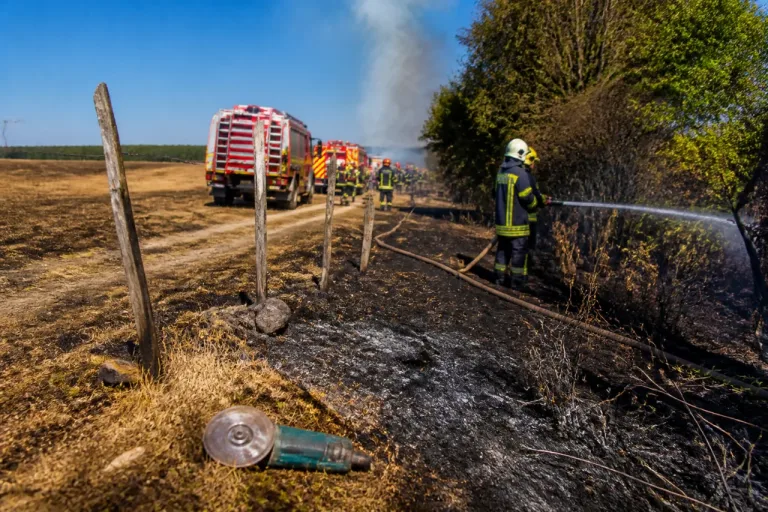 Un meulage accidentel provoque un feu : 5 hectares partis en fumée à Bouillac