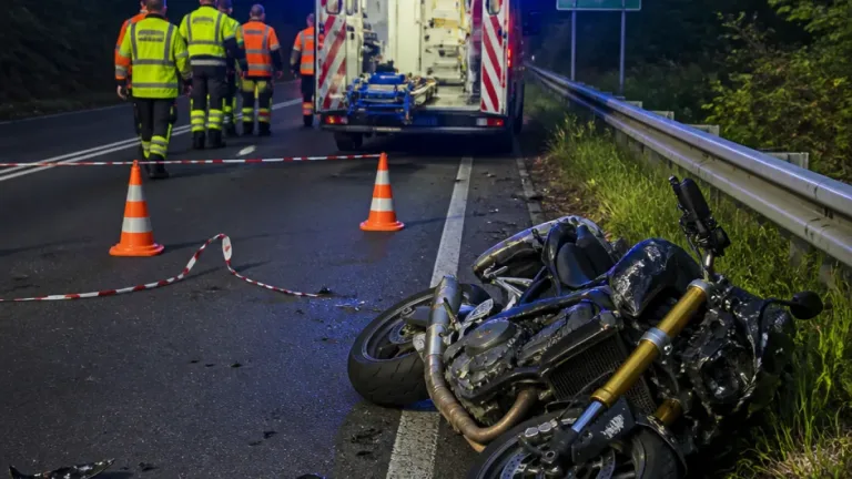 Un motard percuté par un sanglier la nuit sur la D877 entre Taillette et Éteignières
