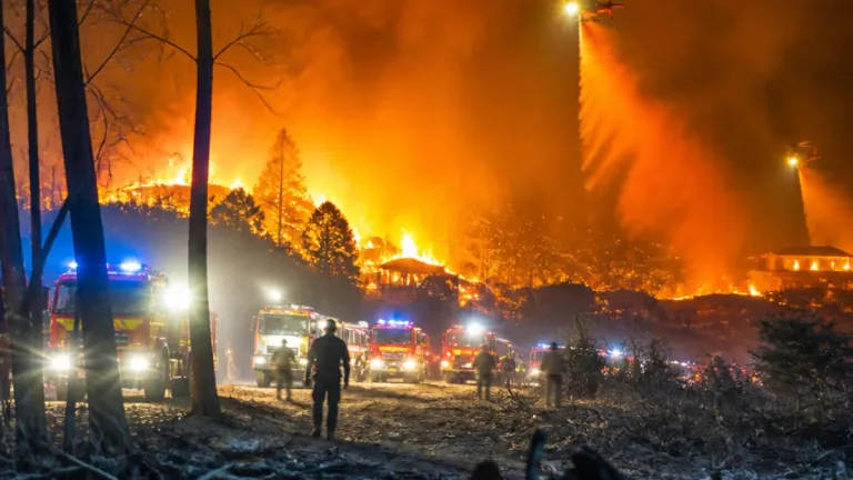 Vagues d’incendies : 800 ha à Fontainebleau, 300 ha dans le Maine-et-Loire, bilan en cours