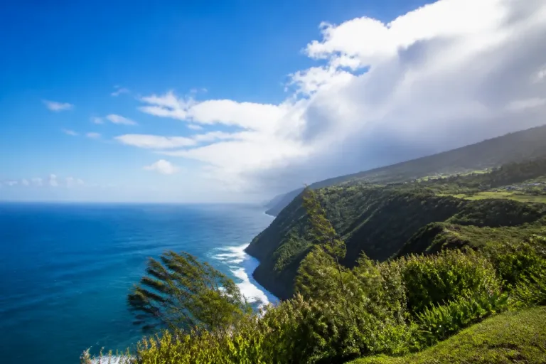 Vendredi lumineux à La Réunion, mais l’Est se couvre et le vent se lève sur les Hauts