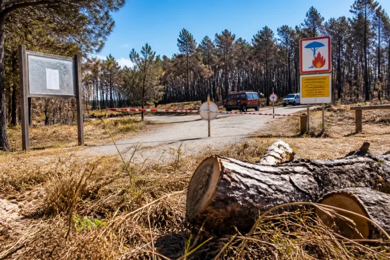 Vigilance orange feux de forêt dans le Lot‑et‑Garonne : restrictions et consignes à compter du 6 juillet