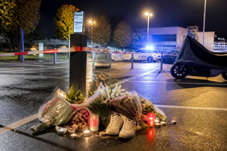 Villeneuve‑le‑Roi : une cagnotte lancée après la mort d'une jeune percutée sur le parking de la bibliothèque