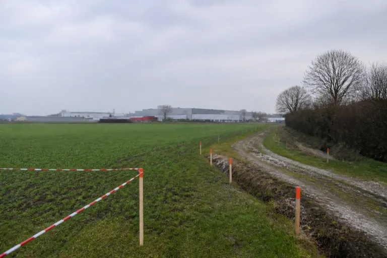 Zone d’activités de Clénay à Cholet : projet relancé, réserves écologiques persistantes
